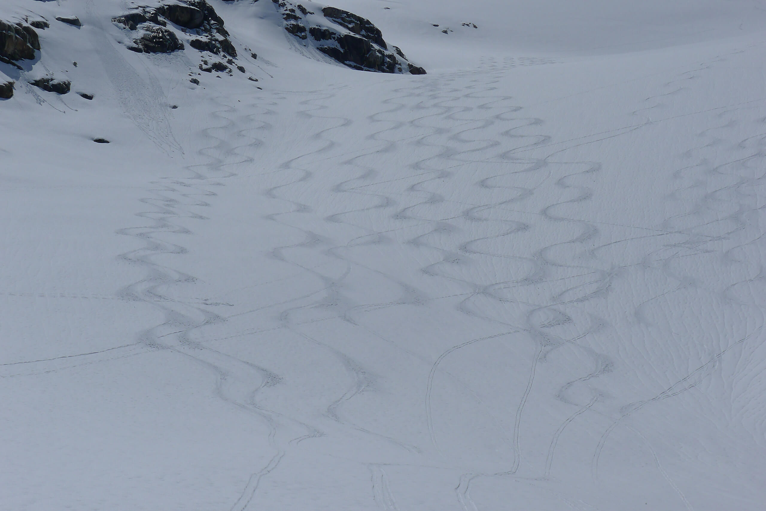 Grand Paradis premier 4000 01